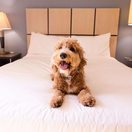 Sonesta Simply Suites Minneapolis Richfield Exterior foto